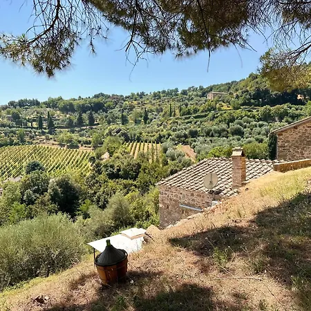 Nuovissimo Loft Panoramico Con Giardino A Apartman Montalcino