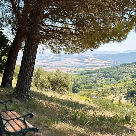 Appartamento Nuovissimo Loft Panoramico Con Giardino A