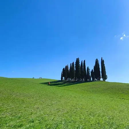 Nuovissimo Loft Panoramico Con Giardino A Appartamento